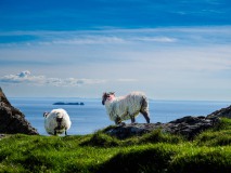 9achill24