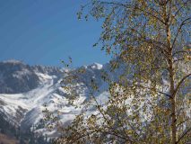 Der Winter naht