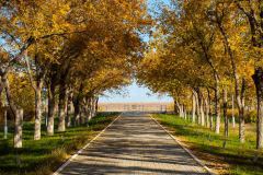 Allee der Kosmonaten