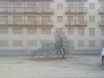 Einge Stadtteile sind komplett verlassen,