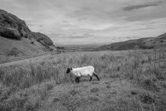 5carrowkeel01