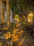 Cementerio de Cristobal Colon