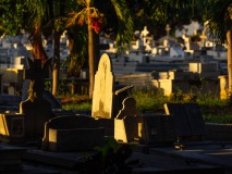 Cementerio de Cristobal Colon