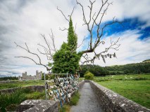 Der Baum der niemals brennt