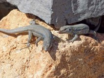 fortaleza_4011747_DxO