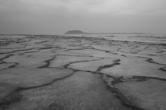 Blick auf Lobos