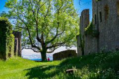 Hohen220518-20
