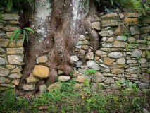 Natur vs. Zivilisation