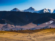 Wieder zurück in die Steppe