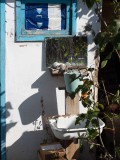 Die Toilette vor dem Haus