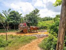 Emissionsfreier Touristentransport