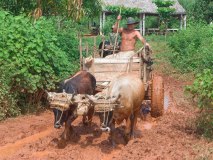 Emissionsfreie Fortbewegung