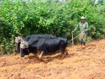 Emissionsfreie Fortbewegung