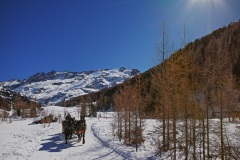 Blick zu den Gletschern
