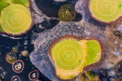 Fehlinvestition -  Golfplatz mit Kunstrasen