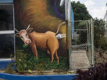 Außergewöhnliche Murals