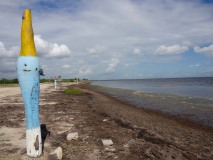 An der Südküste schlagen die Hurricans voll zu