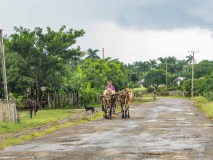 Innovativ und emmisionsfrei