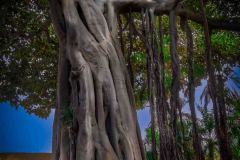 3290734_DxO-HDR