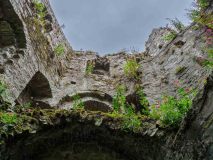 Burgmauer