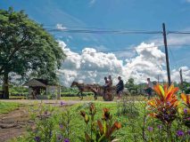 Emissionsfreier Transport